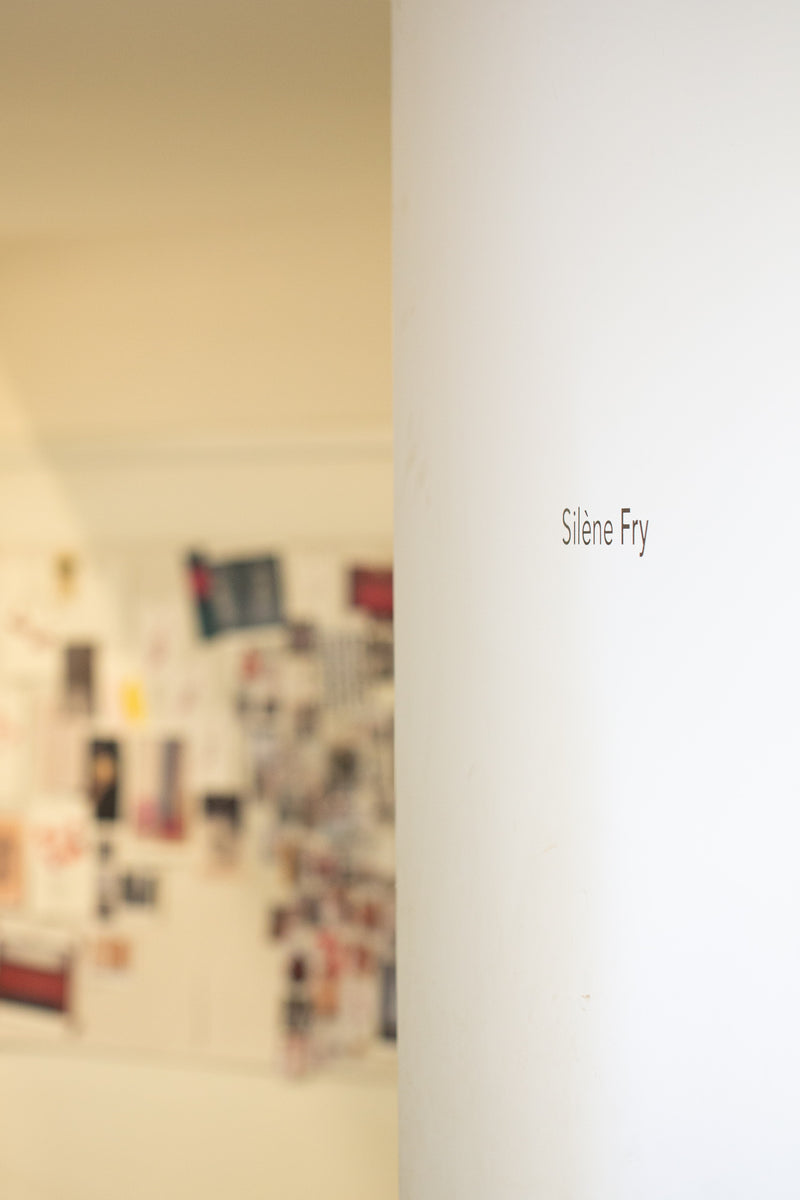 Silène Fry: A poetic dialogue between what is mastered and what resits