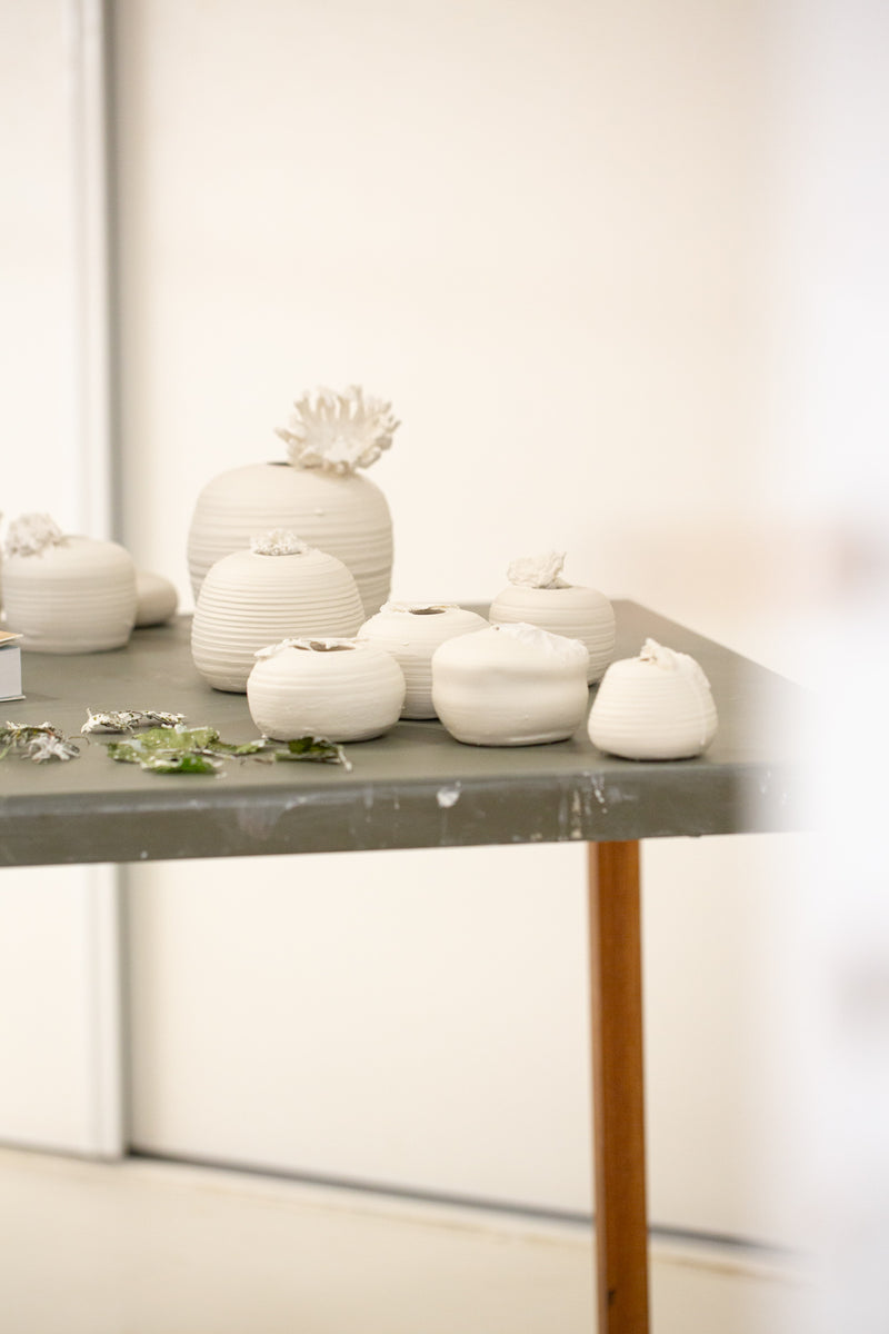 Silène Fry: A poetic dialogue between what is mastered and what resits