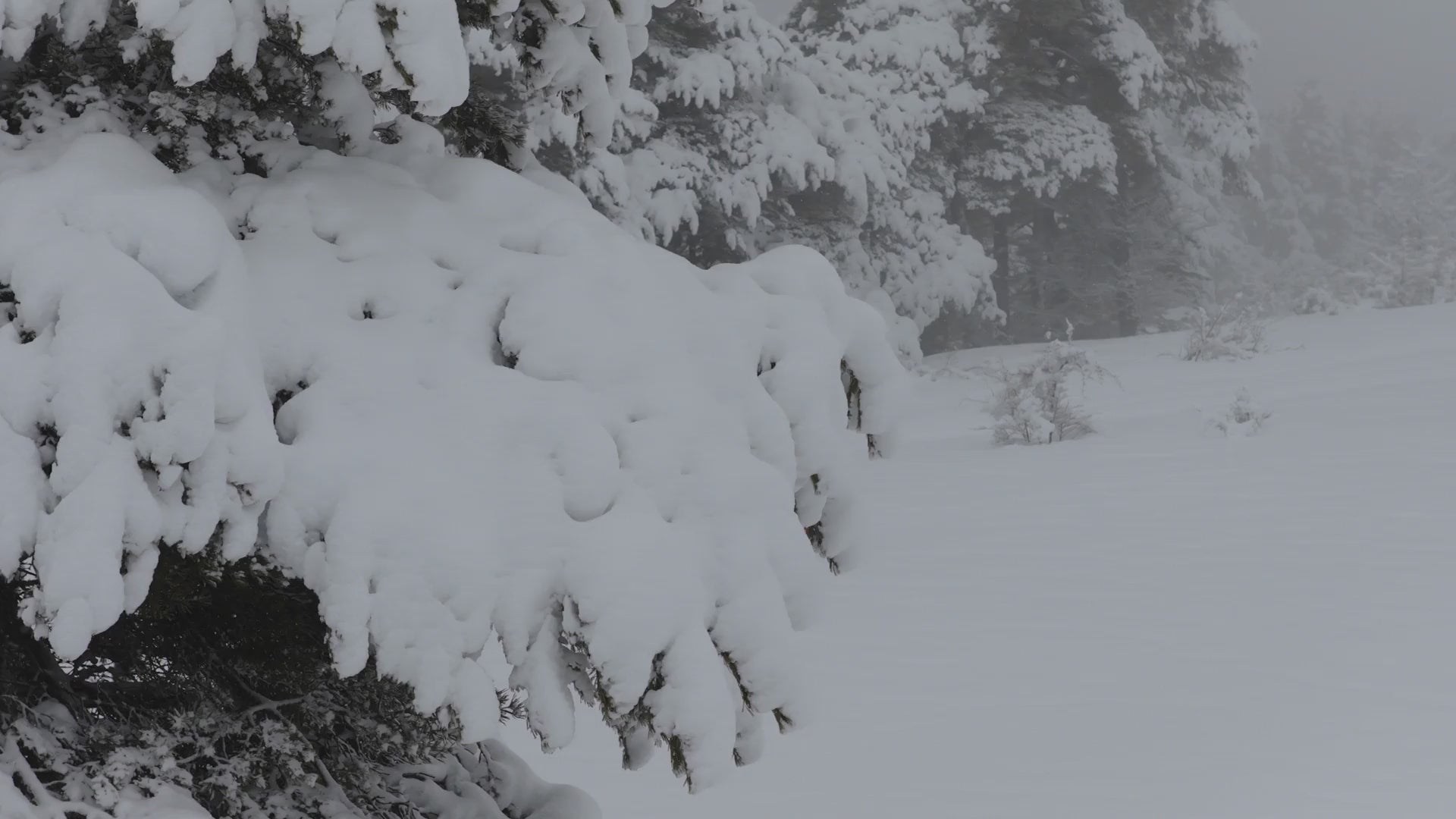 Serica Watches - SERICA VATNAJÖKULL Expedition